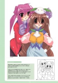 BUY NEW tori koro - 175313 Premium Anime Print Poster